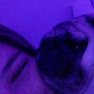 Meet your Posher, Lorie